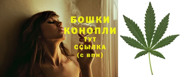 МДМА Медвежьегорск