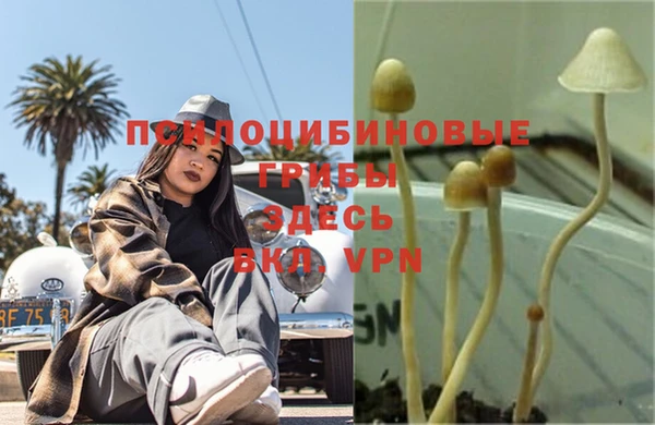 ешки Медногорск