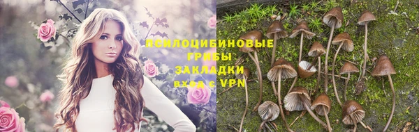 МДМА Медвежьегорск