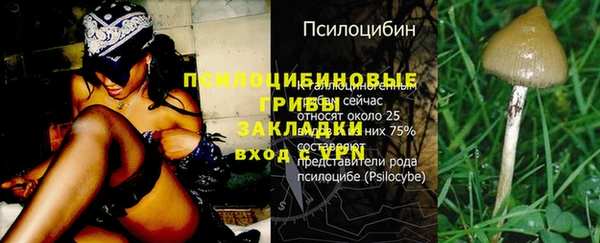 ешки Медногорск